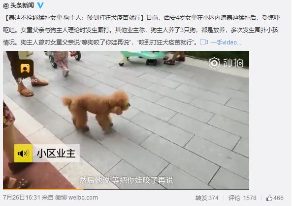 西安&middot;泰迪不栓绳猛扑女同