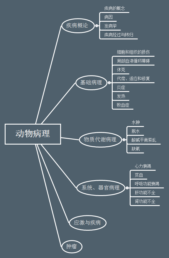 动物病理课程内容思维导图