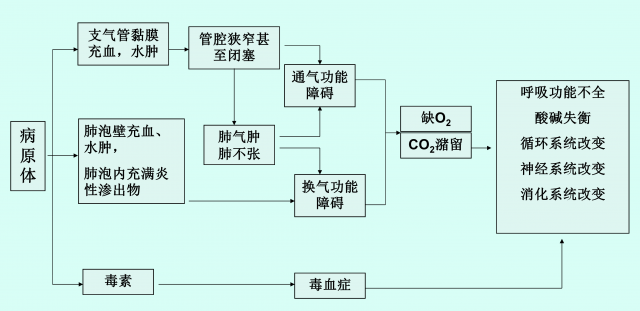 肺炎病理生理