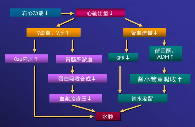 心性水肿发生机制