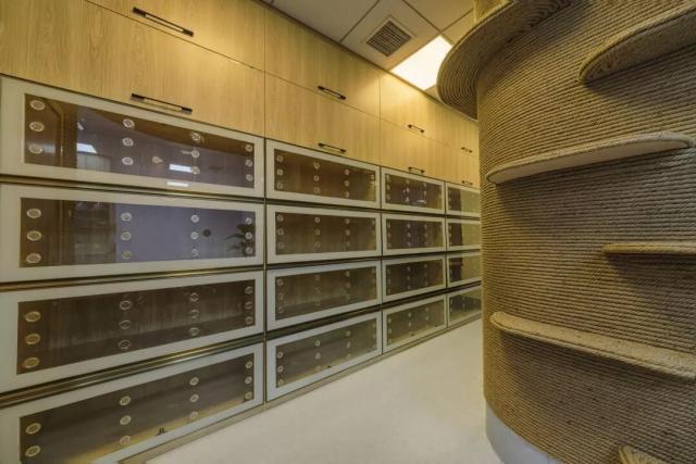 猫寄养室内规划