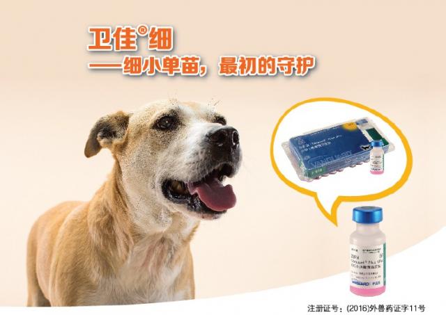 犬细小单苗卫佳®细