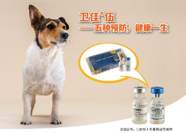 犬五联苗：卫佳®伍