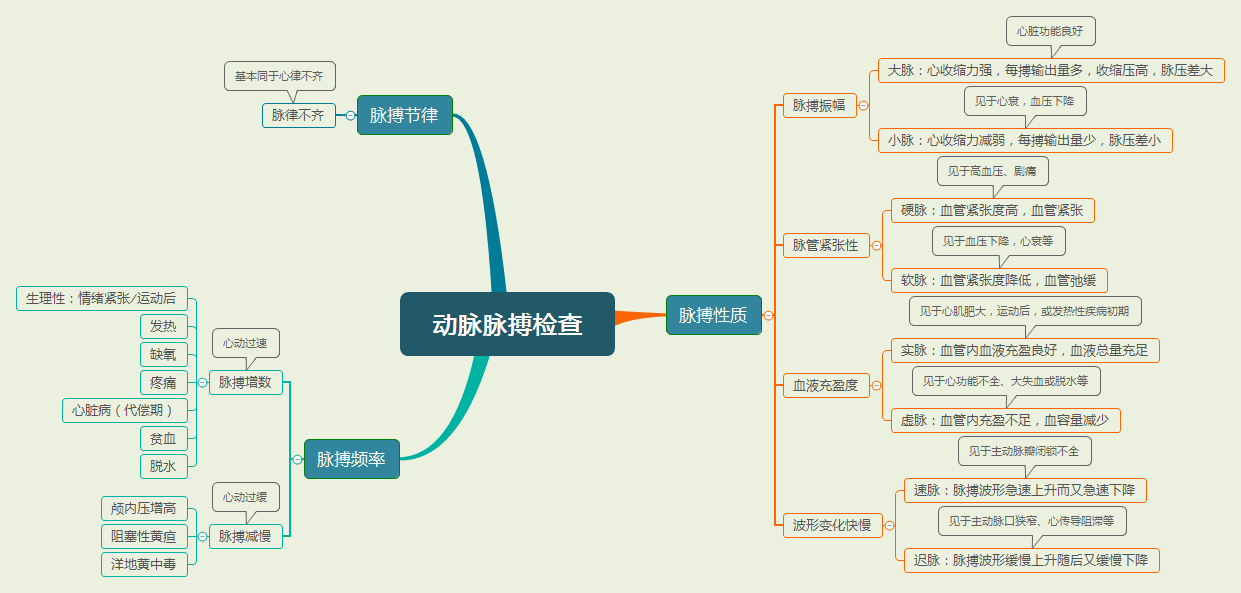 动脉脉搏检查知识导图