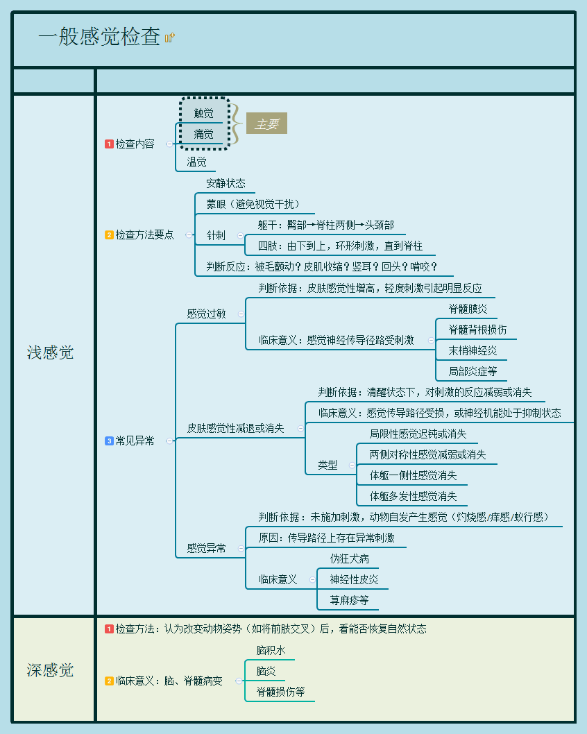 一般感觉检查知识导图