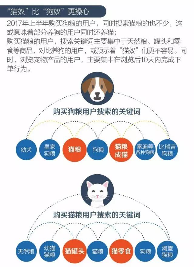 “猫奴”比“狗奴”更操心