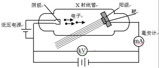 X射线产生装置结构示意图