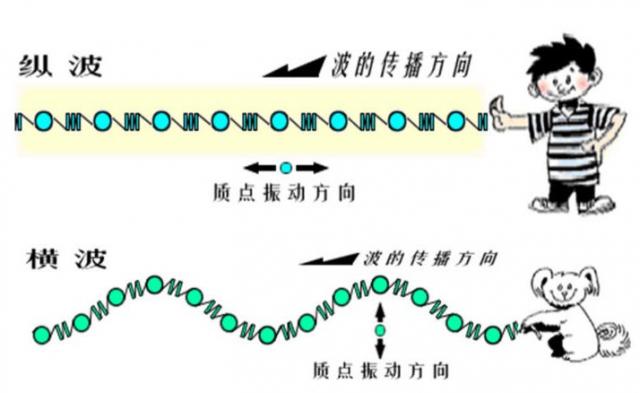 纵波与横波示意图
